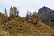 GIRO DEI CINQUE LAGHI sul sent. CAI 250 al RIF. GEMELLI da Carona il 26 ottobre 2017 - FOTOGALLERY